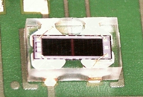 Dual-Photodiode with a common Cathode